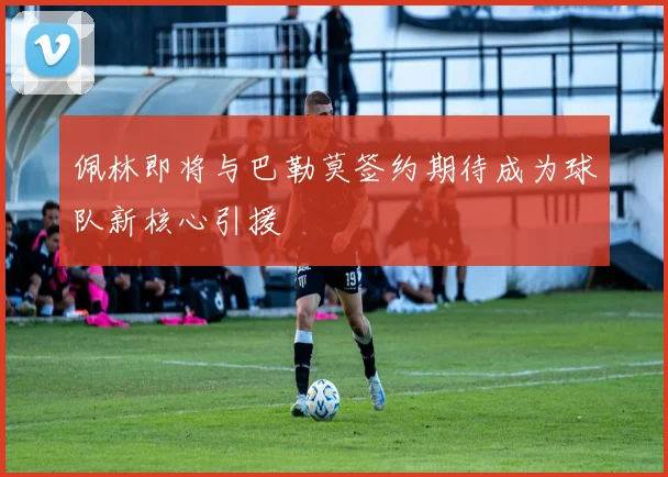 佩林即将与巴勒莫签约期待成为球队新核心引援